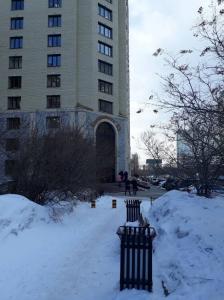 Фотография Волчиха 3