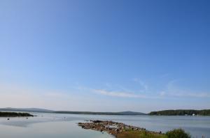 Фотография Волчиха 2