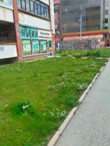 Фотография Ника 3