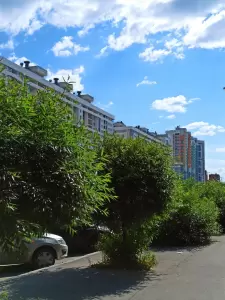 Фотография РСГ-Академическое 1