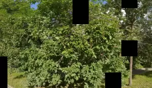 Фотография Урал 1