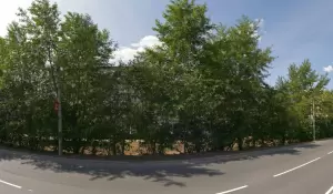 Фотография Малахит 0
